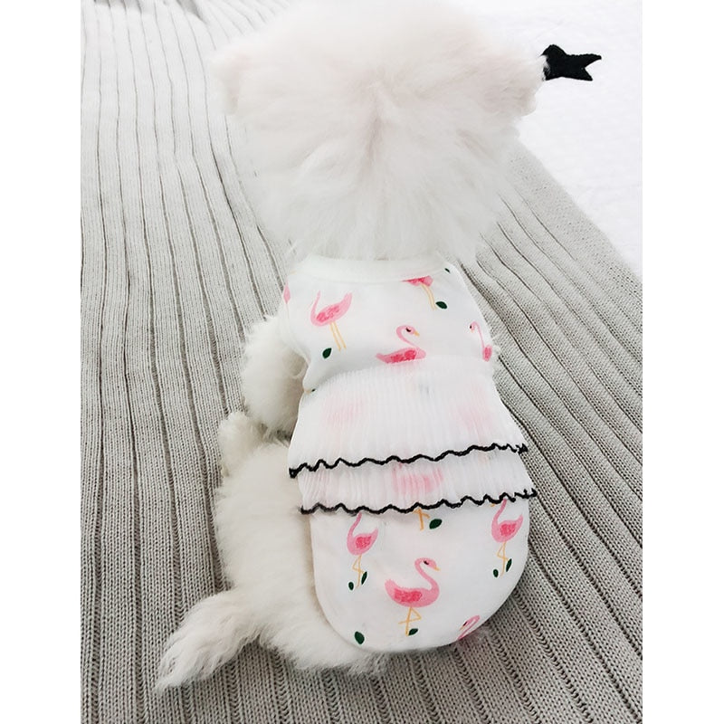 Hot Spring Pet Summer Clothes for Dogs & Cats