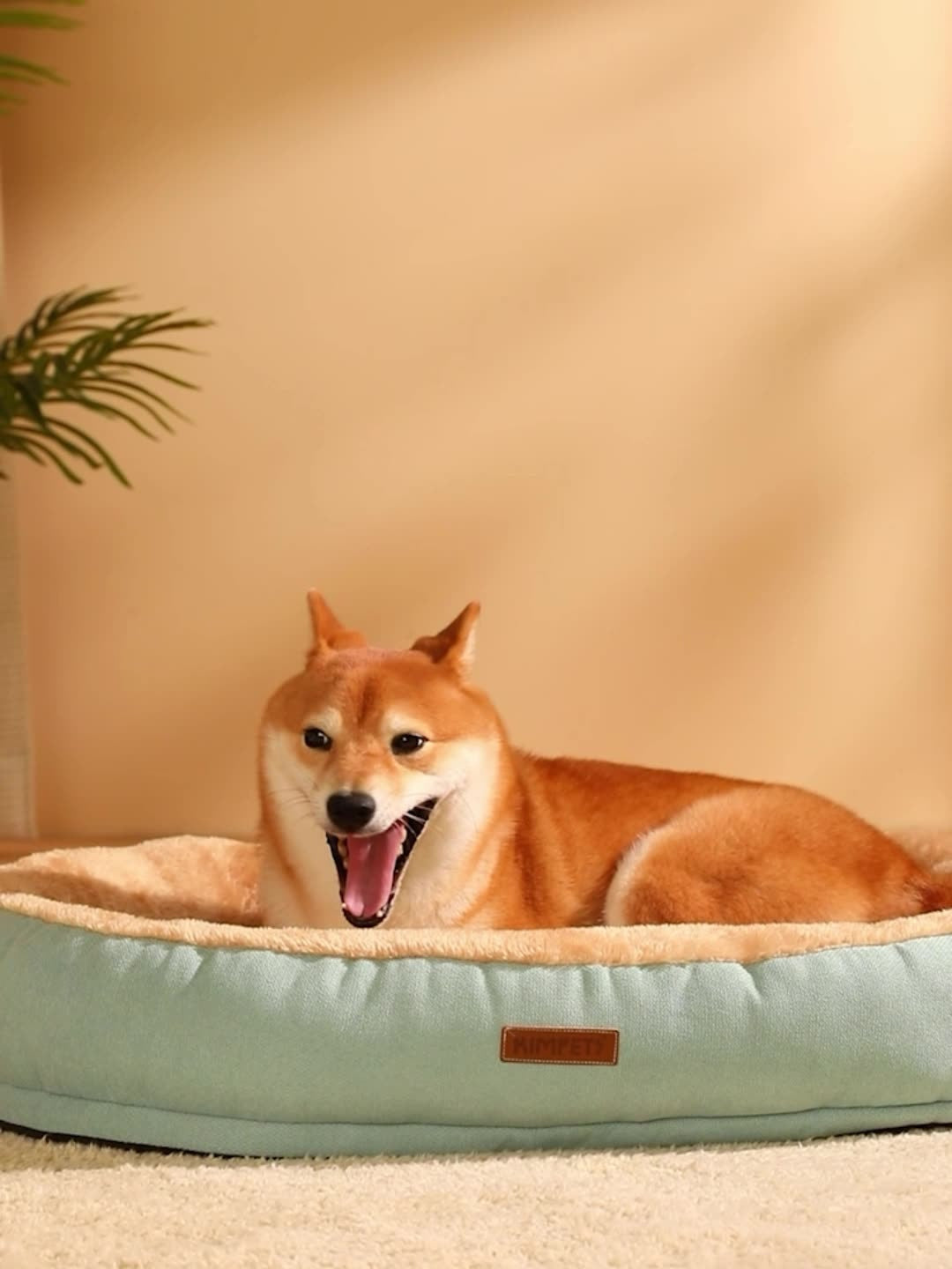 New Oval Pet Kennel-For Dogs & Cats
