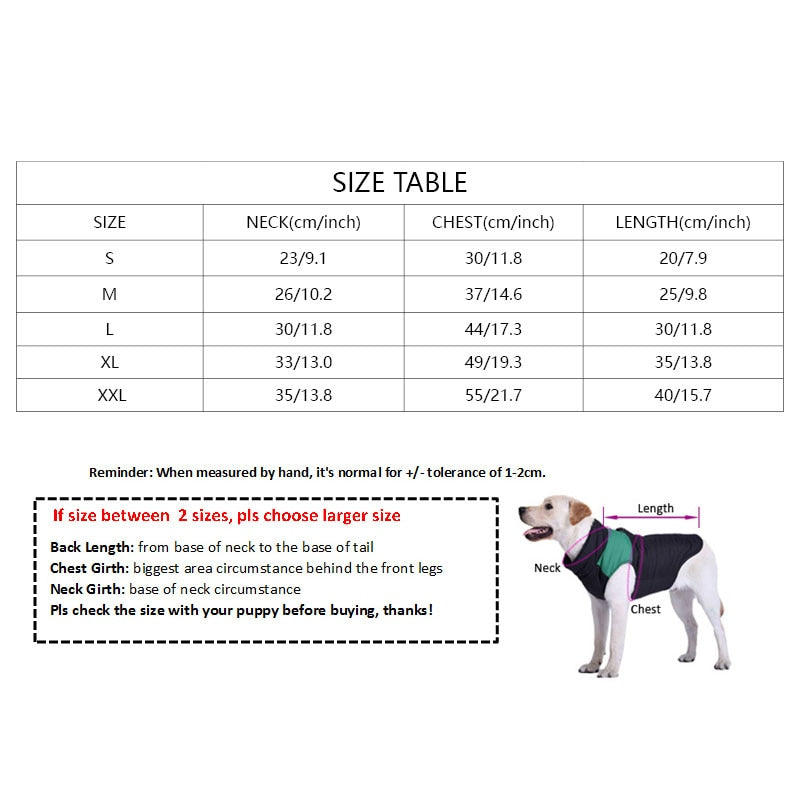 Hot Spring Pet Summer Clothes for Dogs & Cats