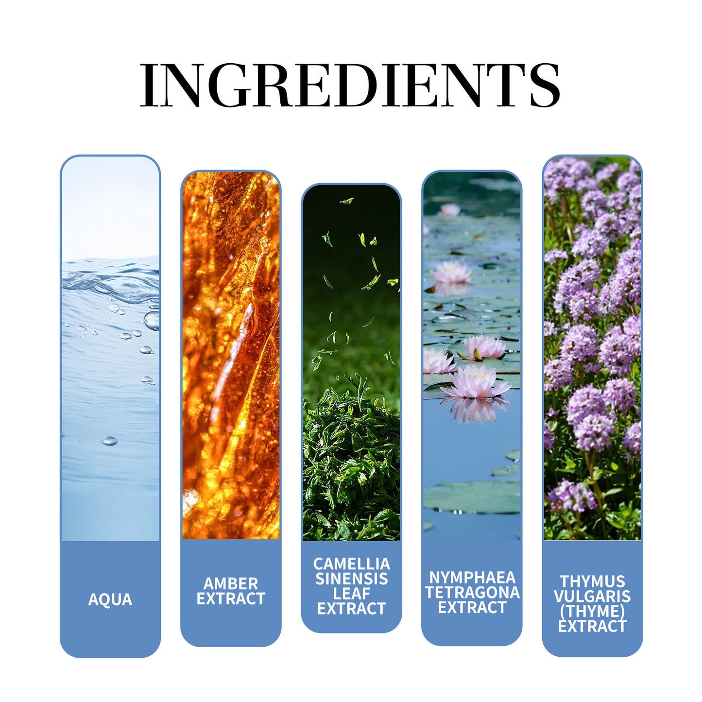 Roxelis Magnet Charming Men Perfume Tea Fragrance Natural Fresh Fragrance