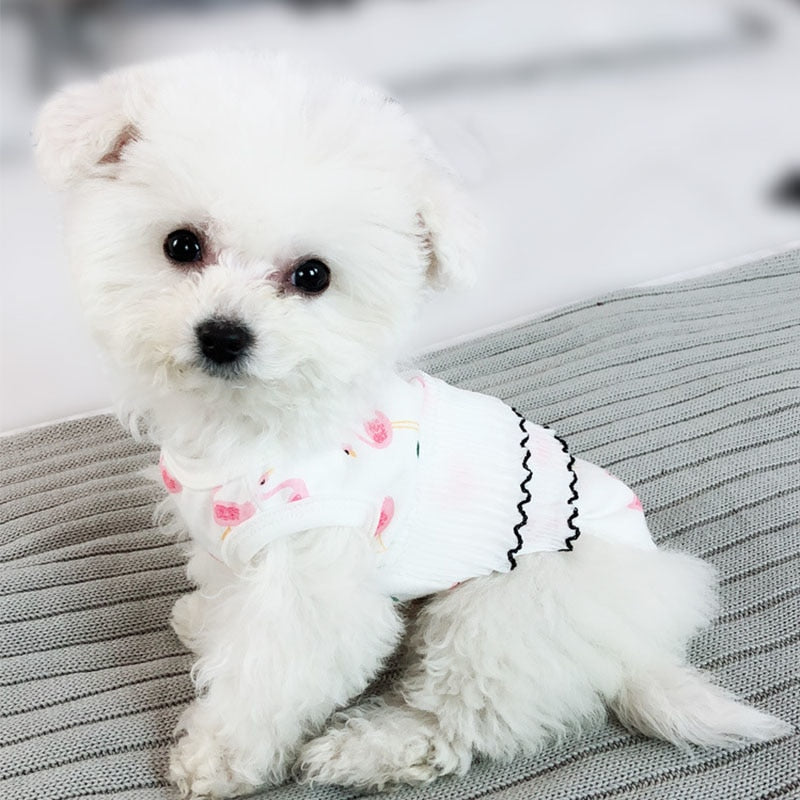 Hot Spring Pet Summer Clothes for Dogs & Cats
