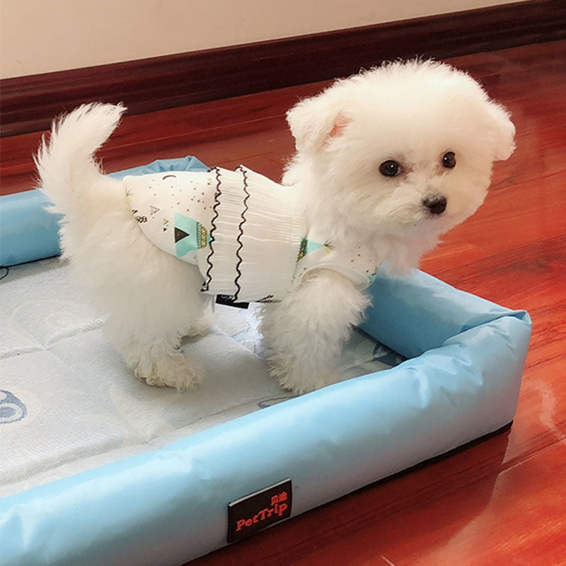 Hot Spring Pet Summer Clothes for Dogs & Cats